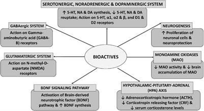 Translational Informatics for Natural Products as Antidepressant Agents